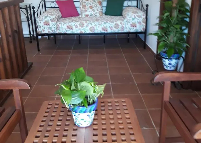 Albara Conil De La Frontera